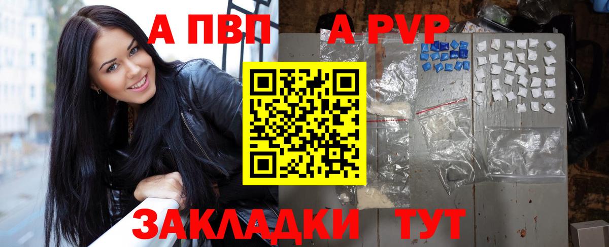 A PVP СК КРИС Вологда