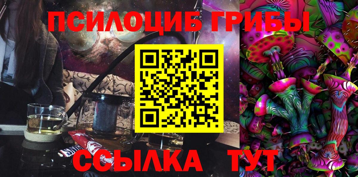 Галлюциногенные грибы мицелий  Вход с VPN  Вологда 