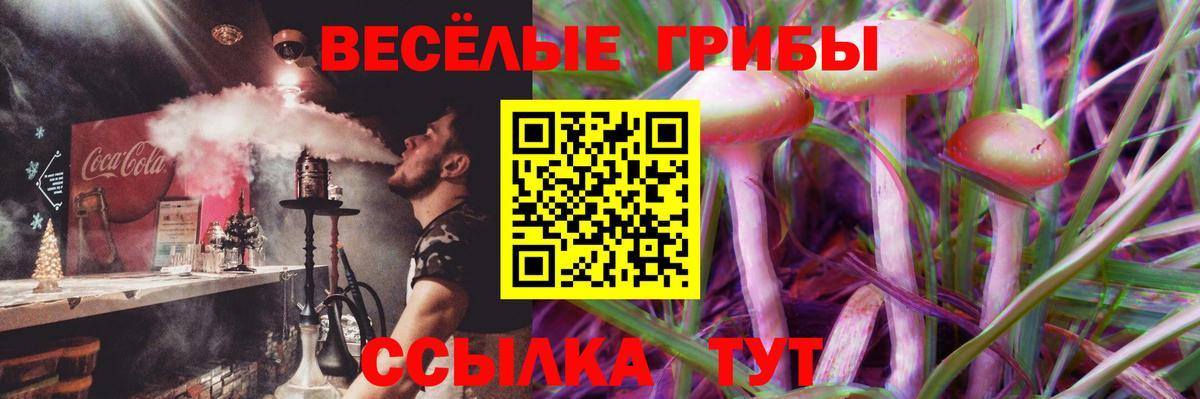 Cocaine Вологда